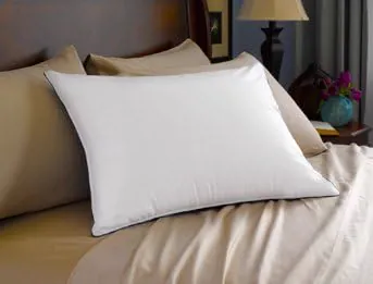 Pacific Coast Touch of Down Pillow, photo 2